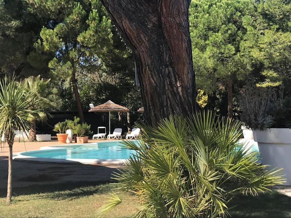 Hotel Perrozzi Vasto Bagian luar foto